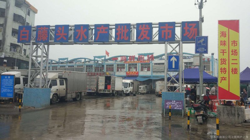 龙虾养殖业的新篇章：科技与生态的完美融合