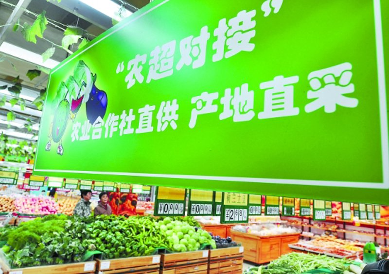 泗洪水产养殖：乡村振兴的绿色引擎
