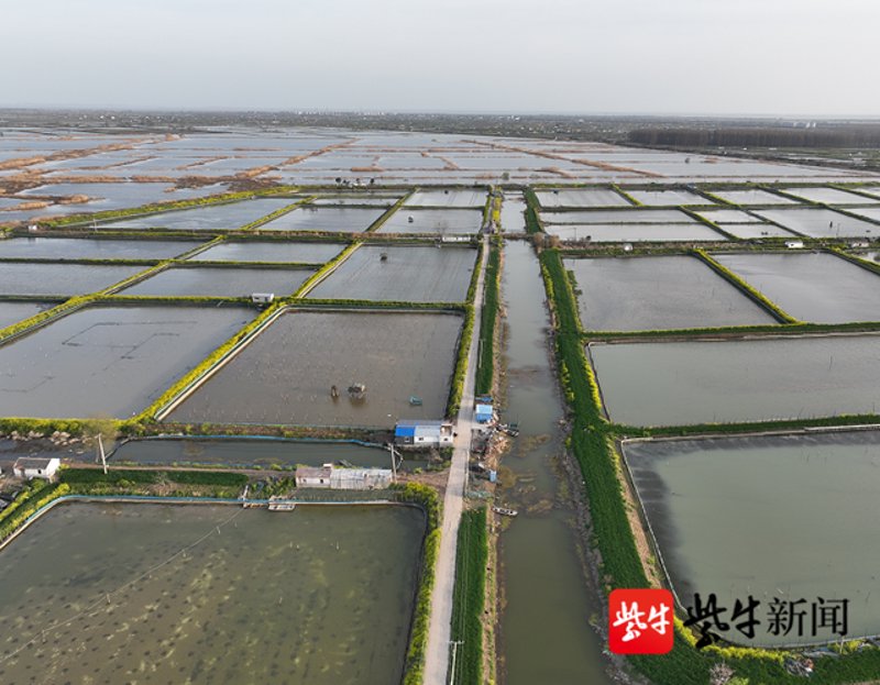泗洪水产养殖