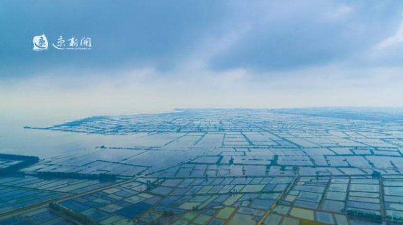 泗洪水产养殖：洞见未来农业的绿色版图
