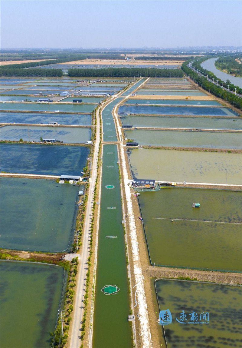 洪泽湖水产